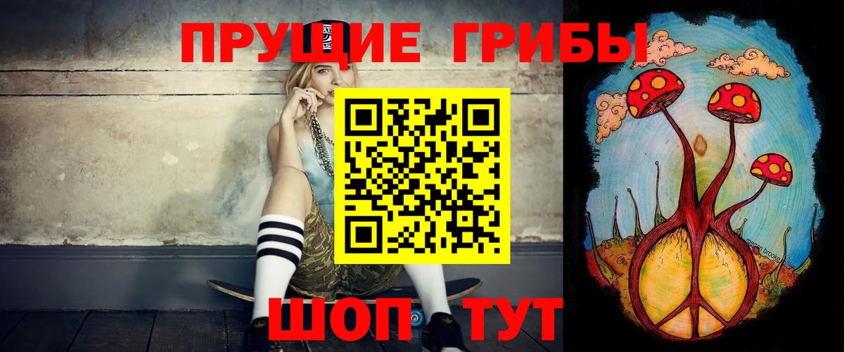 Черняховск  Псилоцибиновые грибы ЛСД  Вход с VPN  Псилоцибиновые грибы MAGIC MUSHROOMS 